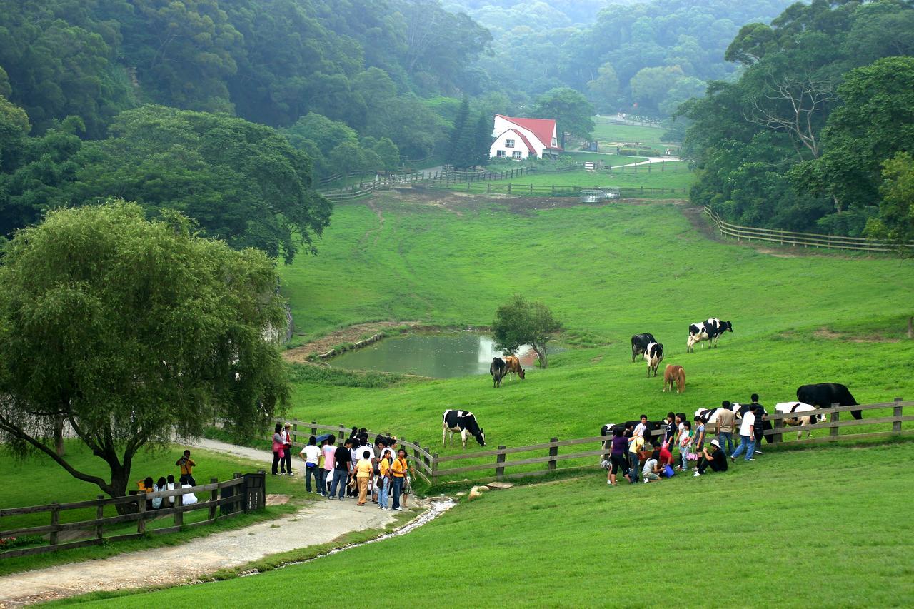 Flying Cow Ranch Hotel Tongxiao Exterior photo
